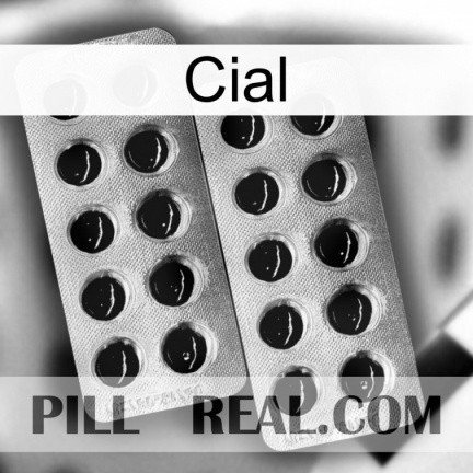 Cial new08